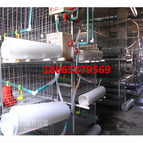 規(guī)模養(yǎng)雞場(chǎng)都用什么樣的清糞帶