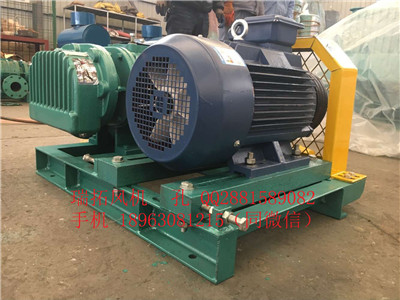 污水處理廠鼓風(fēng)機(jī) 污水曝氣鼓風(fēng)機(jī)