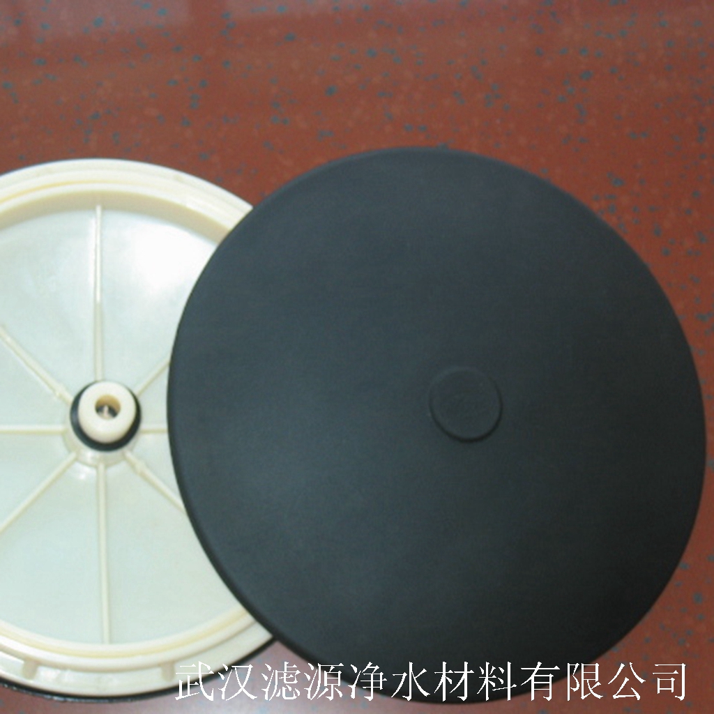 供應(yīng)湖北武漢膜片式微孔曝氣器 215曝氣盤