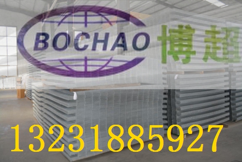 河北苗床批發(fā)廠家- 哪家好-博超