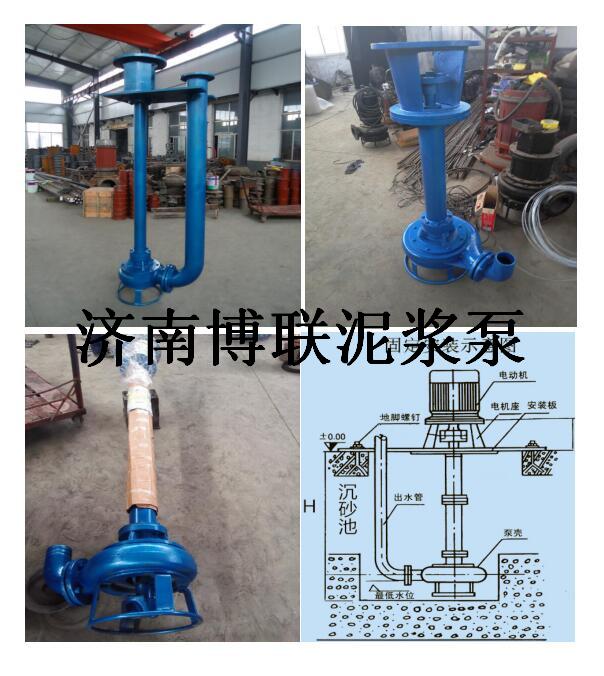 沼氣池清廢渣泵 2寸立式渣漿泵
