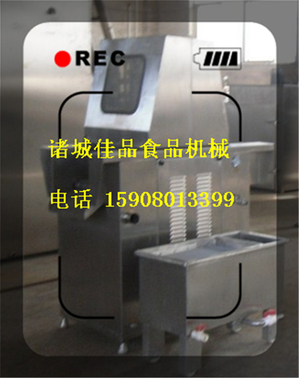 全自動(dòng)魚(yú)肉鹽水注射機(jī) 雞鴨帶骨鹽水注射機(jī) 小牛肉鹽水注射機(jī)
