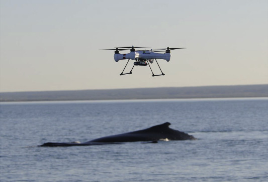 廣州市無人機無損檢測協(xié)助工程驗收正規(guī)進場機構