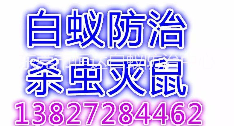 東莞專業(yè)滅白蟻公司,你身邊的白蟻