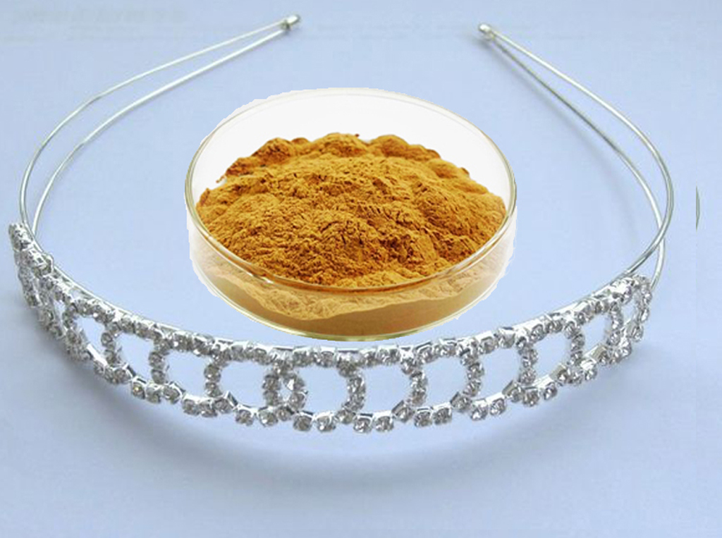 供應(yīng) 魚(yú)腥草提取物 原料 廠家現(xiàn)貨