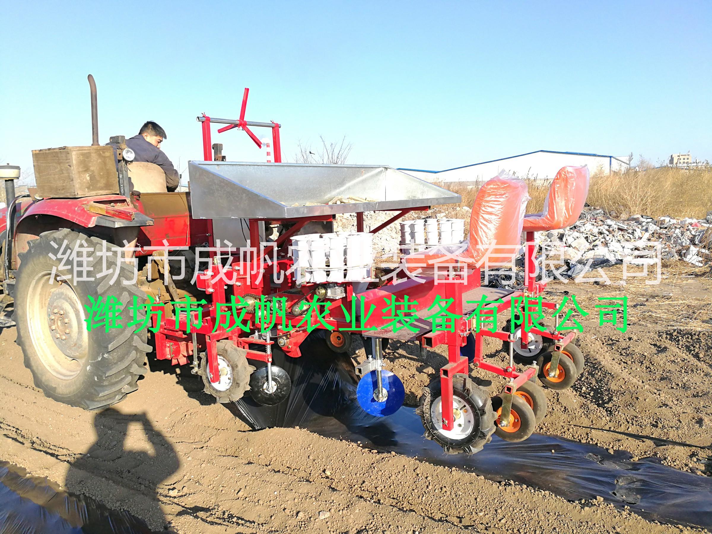 西紅柿 成帆2ZBX-2型辣椒移栽機(jī) 甘藍(lán) 白菜辣椒苗移栽機(jī)價格 你想要的移栽機(jī)都在這里