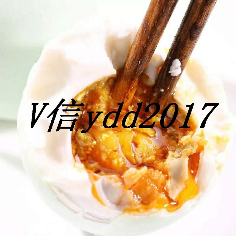 烤海鴨蛋烤鴨蛋咸北部灣紅樹林*廠家直銷廣西北海30枚流油* 海邊海鴨蛋