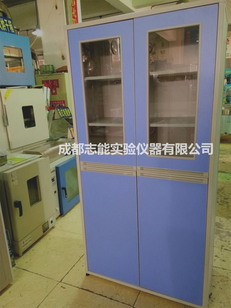 四川成都試劑柜廠家 鋁木試劑柜 通風(fēng)藥品柜 全鋼柜