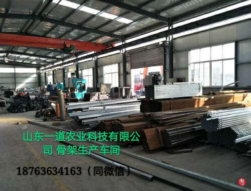 朝陽(yáng)北票恒溫智能溫室大棚育苗室生態(tài)餐廳節(jié)能日光溫室大棚