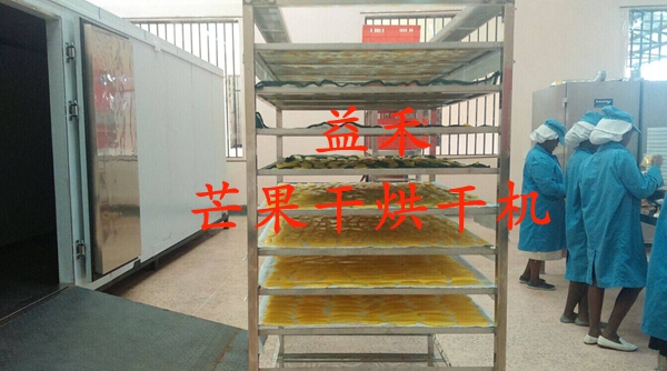 芒果熱泵烘干機(jī) 芒果干烘干機(jī)價(jià)格