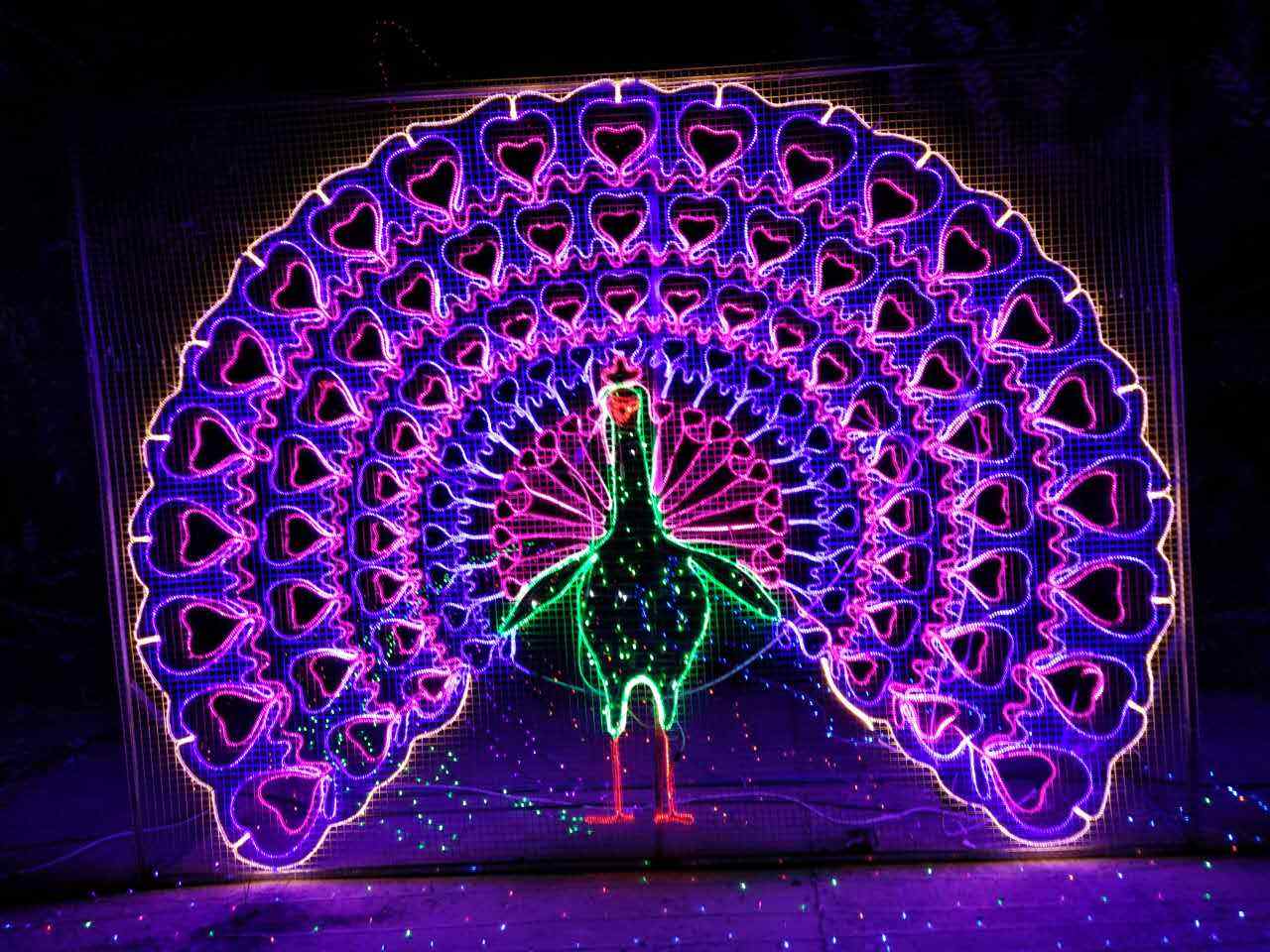 2018年夢(mèng)幻燈光節(jié)生產(chǎn)廠家出售燈光展出租價(jià)格燈光藝術(shù)節(jié)租賃報(bào)價(jià)