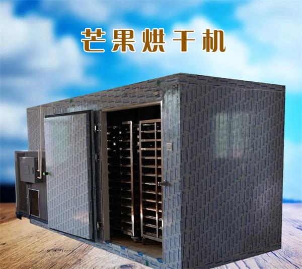 柬埔寨芒果干烘干機 越南芒果烘干機