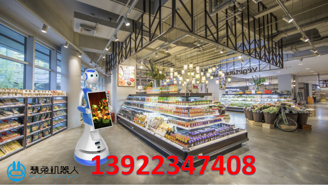 智能機(jī)器人廠家 供貨商 供應(yīng)商 價(jià)格 哪里拿貨 哪家好 功能多