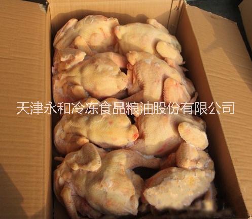 俄羅三黃雞 斯白條雞雞翅批發(fā)廠家 俄羅斯白條雞 三黃雞雞翅批發(fā)廠家