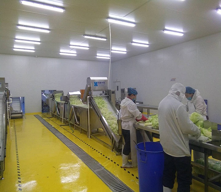 大型連續(xù)式葉菜類清洗線、洗菜機、自動清洗機、大型洗菜線、廚房設(shè)備、果蔬清洗機