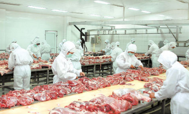廣騰肉類冷庫供應(yīng)商肉類冷庫*價(jià)格 肉類冷庫批發(fā) 肉類冷庫造價(jià)