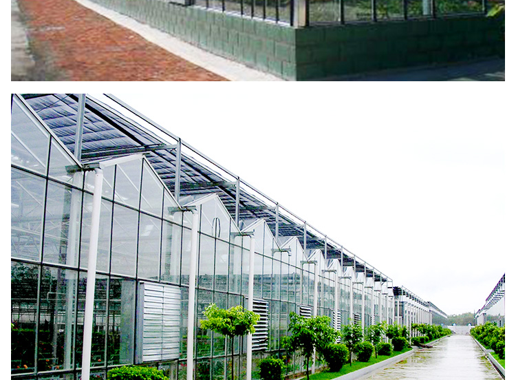 河北玻璃溫室工程  專業(yè)溫室工程建設(shè) 溫室廠家 玻璃溫室骨架 溫室配件 廠家