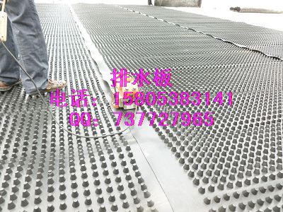 塑料排水板/防根穿刺種植排水板廠家直銷