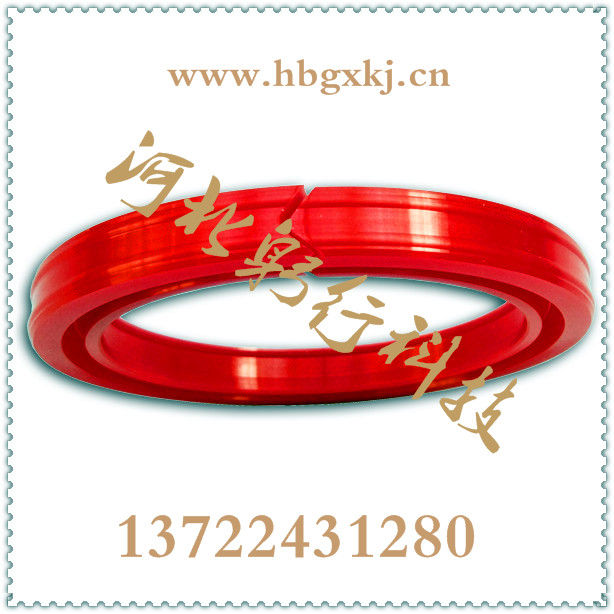 分體式油封分體式油封大型機(jī)械配件專業(yè)供應(yīng)商