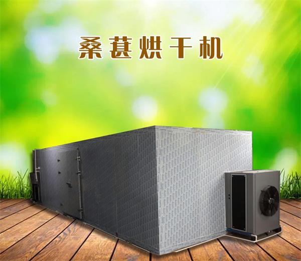 桑葚烘干機(jī) 桑葚烘干*設(shè)備