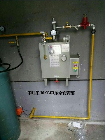 供應(yīng)丙烷氣化器電熱式汽化器 丙烷電熱式汽化器