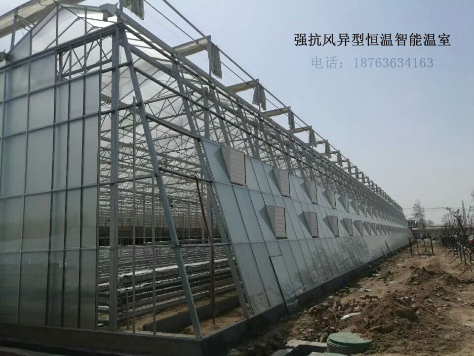 哈爾濱  哈爾濱 恒溫智能溫室大棚育苗室節(jié)能日光溫室大棚