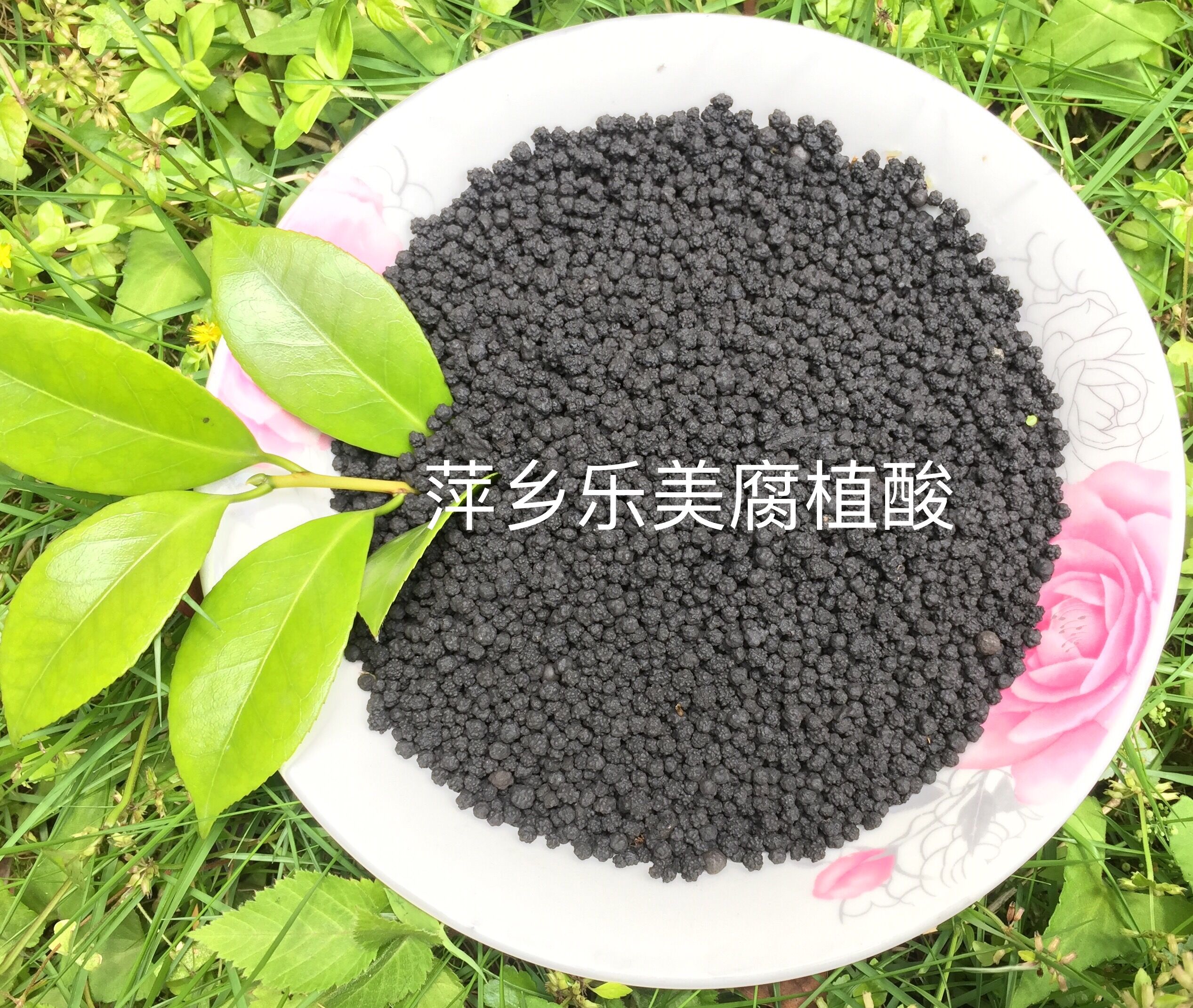 水產(chǎn)養(yǎng)殖 腐植酸鈉顆粒球形 改底 調(diào)水色 抗應激 腐殖酸鈉