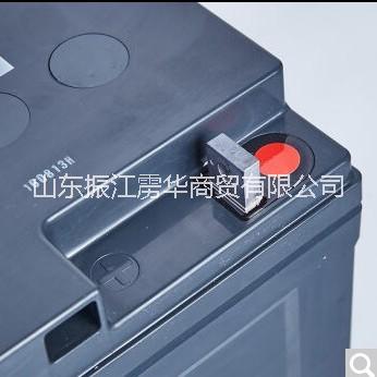 松1下UPS不間斷電源蓄電池12V65A LC-P1265ST(12V65A/20HR)  松1下蓄電池12V65A