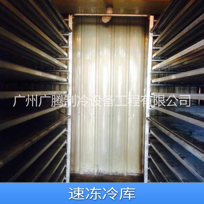 小型速凍庫價(jià)格 速凍冷庫設(shè)計(jì) 速凍冷庫造價(jià) 速凍庫廠家13922179355