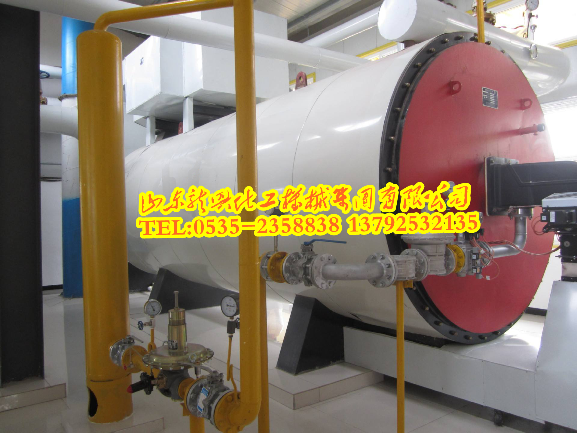 供應導熱油鍋爐（導熱油加熱爐）導熱油鍋爐導熱油加熱爐 山東龍興導熱油加熱爐