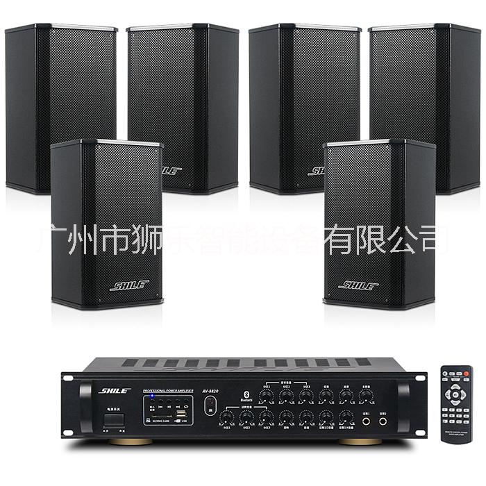 獅樂會(huì)議音響套裝組合 藍(lán)牙功放AV8820+壁掛音箱BX108專業(yè)設(shè)備  8寸音響套裝