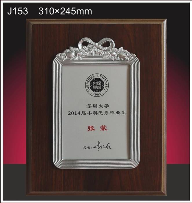 金箔獎(jiǎng)牌授權(quán)牌榮譽(yù)牌牌匾創(chuàng)意花邊