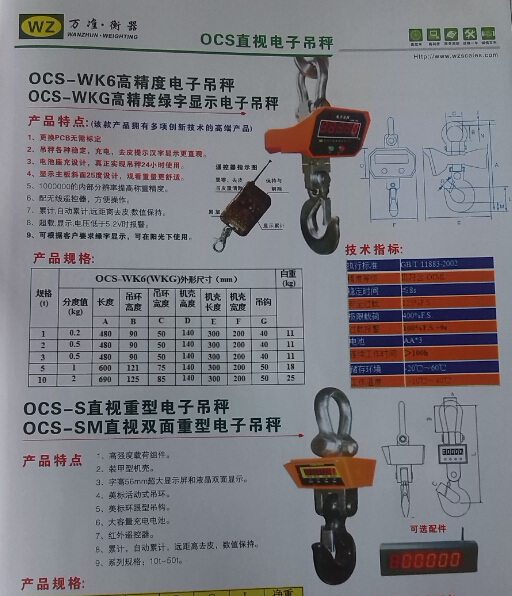 義務(wù)電子吊秤OCS-WK6 直視電子吊秤 廠家供應(yīng)銷售 電子吊鉤秤