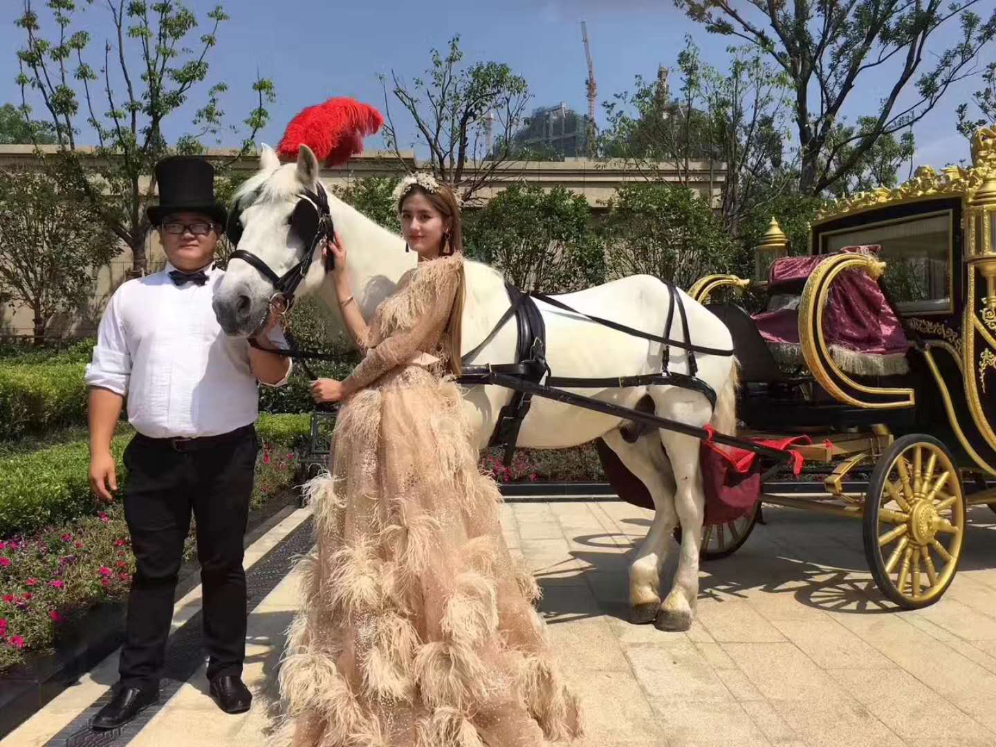 *馬車出租   *馬車廠家租賃   *馬車出售價(jià)格