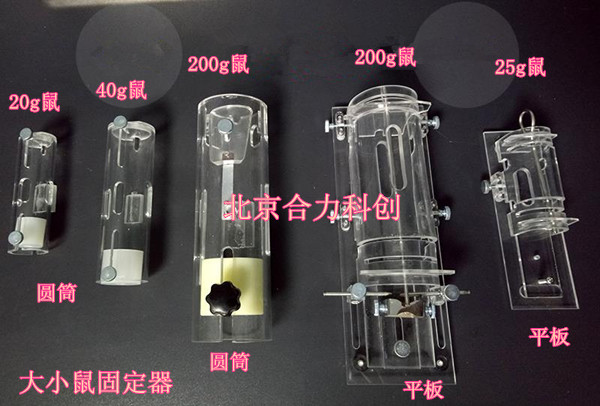 200g左右大鼠板式固定器