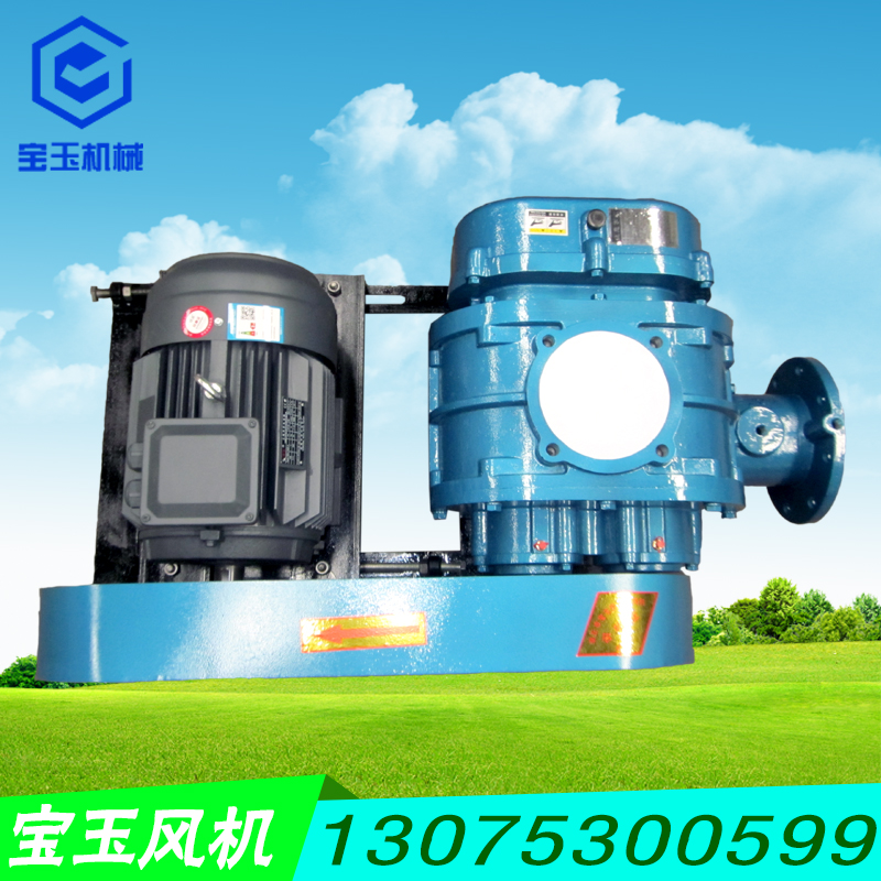 羅茨真空泵 羅茨鼓風(fēng)機(jī) 羅茨真空泵 羅茨鼓風(fēng)機(jī) 羅茨風(fēng)機(jī)