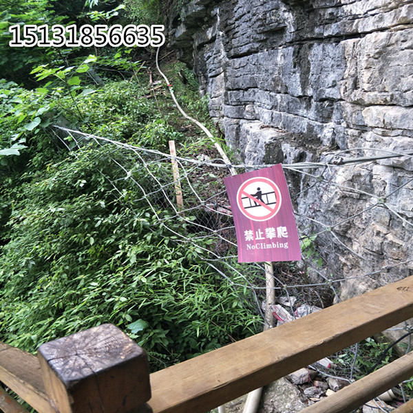 RX100型被動(dòng)邊坡防護(hù)網(wǎng)價(jià)格