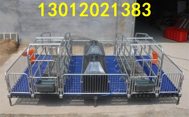 自動(dòng)化養(yǎng)豬設(shè)備廠家供應(yīng)母豬分娩欄熱鍍鋅管加重型母豬產(chǎn)床 供應(yīng)母豬產(chǎn)床母豬分娩床