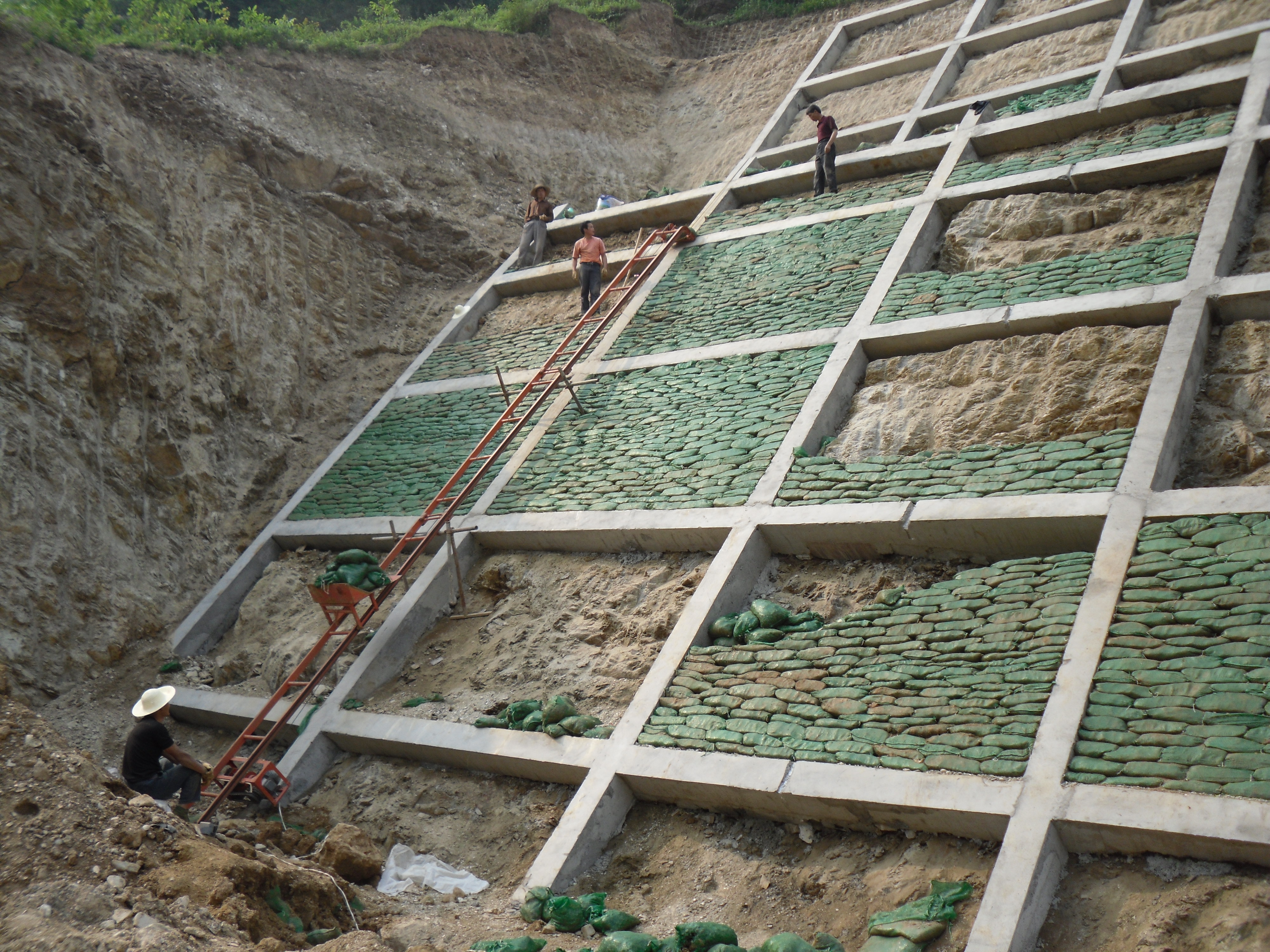 噴播綠化技術(shù) 北京噴播綠化技術(shù) 噴播綠化技術(shù)電話