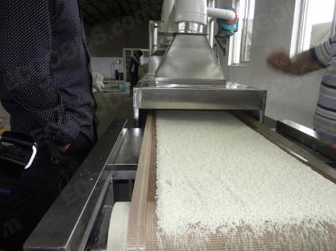 廣州五谷雜糧微波設(shè)備廠家