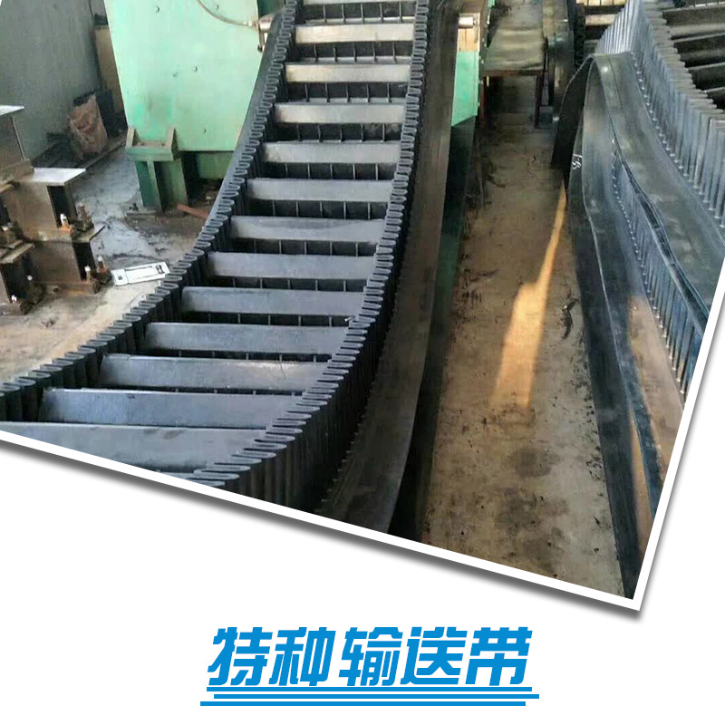 廣州特種輸送帶廠家 廣東特種輸送帶報(bào)價(jià)