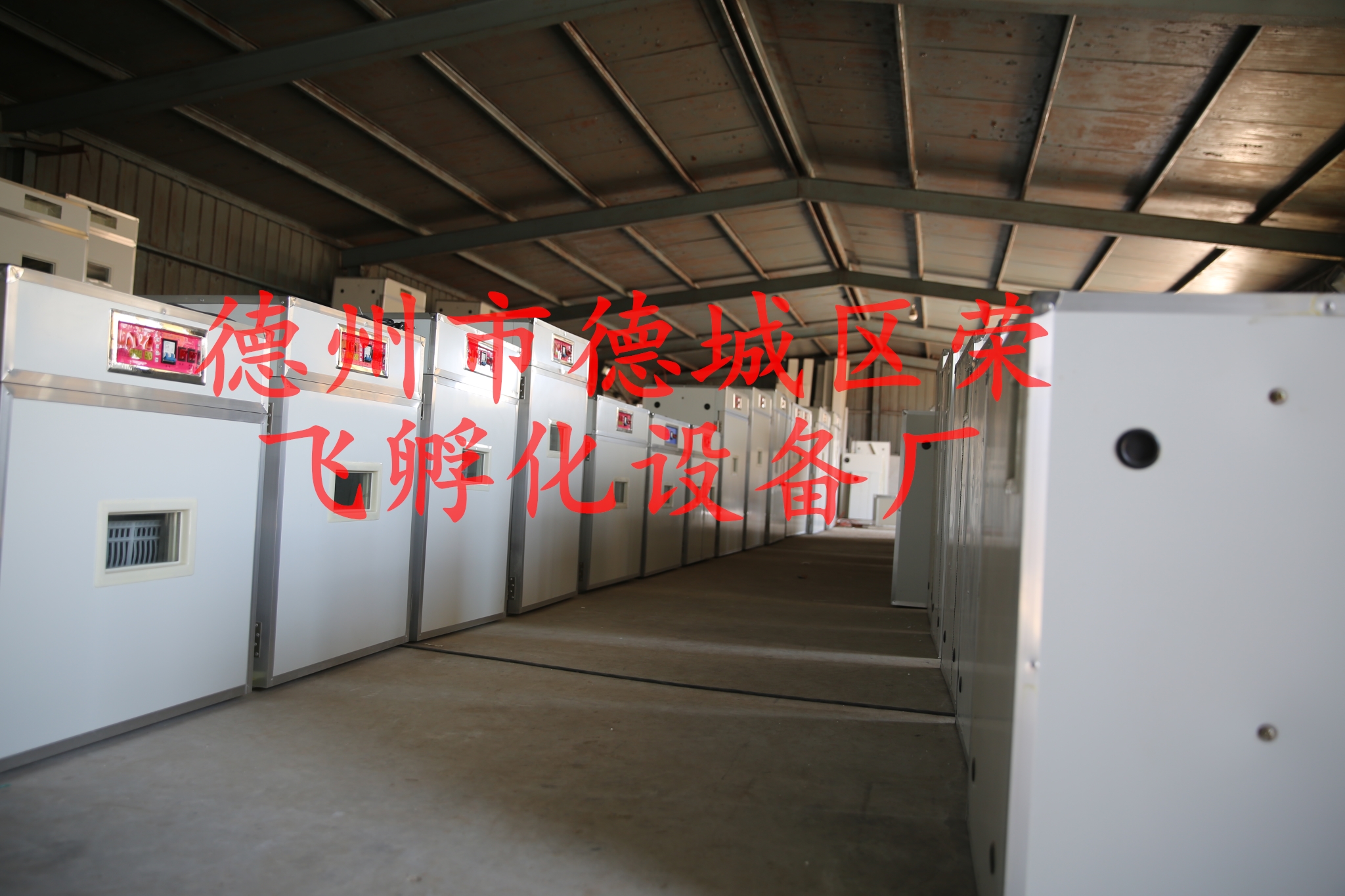 智能全自動孵化機迷你家用小型孵化多功能孵化機配件設(shè)備