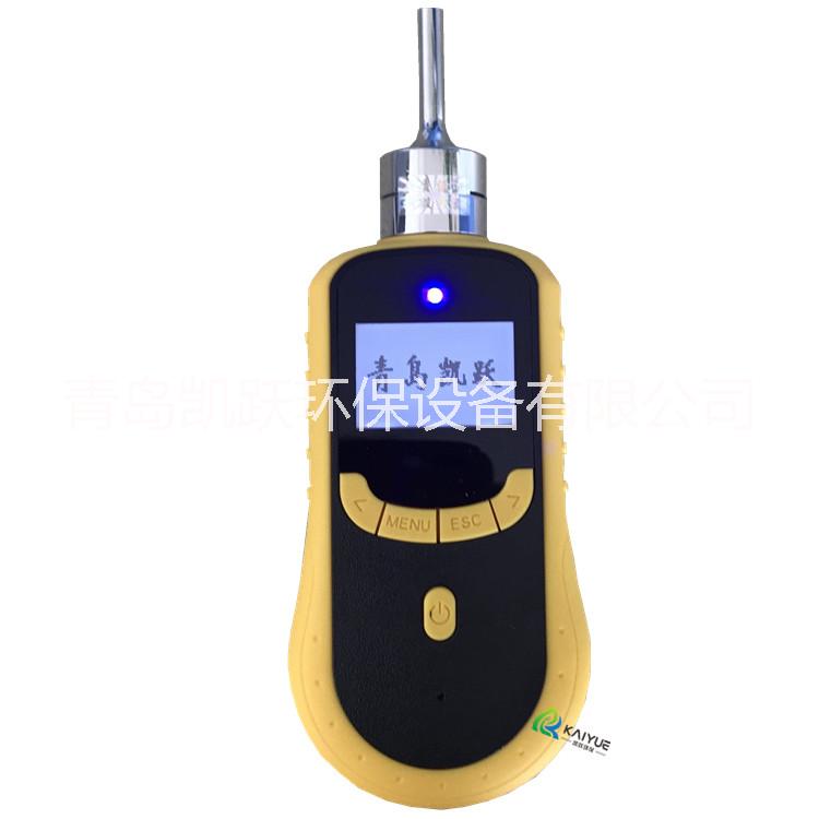 泵吸式臭氧濃度檢測儀 KY-2000型臭氧檢測儀