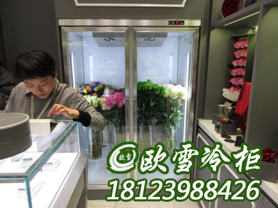 東莞鮮花保鮮柜有哪些廠家品牌在出售供應(yīng)