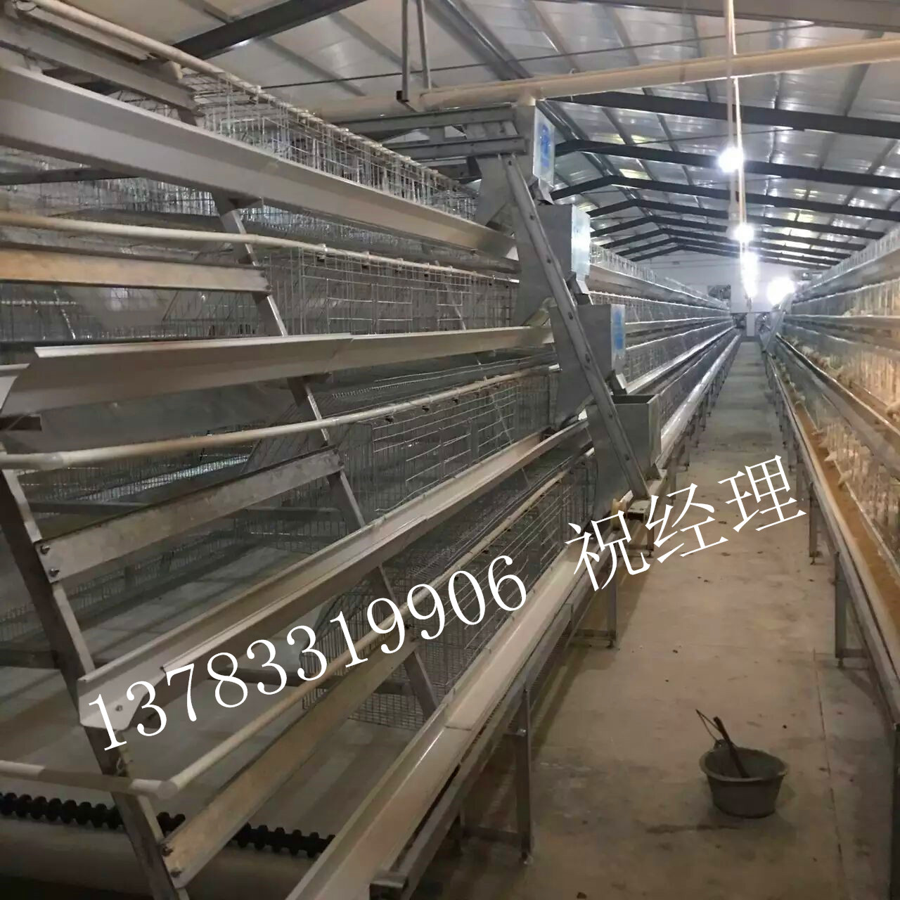 新型層疊式蛋雞全自動(dòng)喂料機(jī) 雞場(chǎng)上料機(jī)