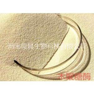 木聚糖酶價(jià)格木聚糖酶生產(chǎn)廠家 甜味木聚糖酶價(jià)格木聚糖酶生產(chǎn)廠家