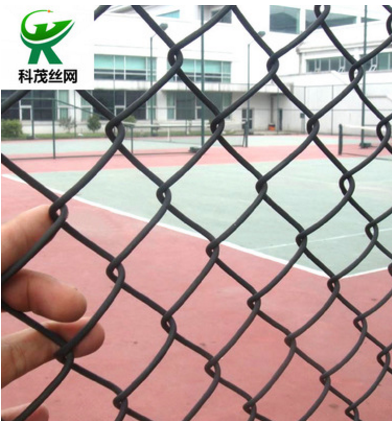 球場(chǎng)圍網(wǎng)廠家直銷 球場(chǎng)圍網(wǎng)供應(yīng)商 河北球場(chǎng)圍網(wǎng)價(jià)格 球場(chǎng)圍網(wǎng)廠家