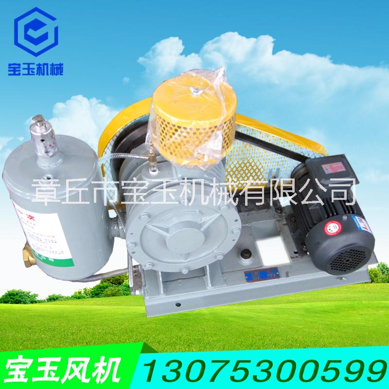 供應(yīng)回轉(zhuǎn)風(fēng)機(jī)羅茨風(fēng)機(jī)