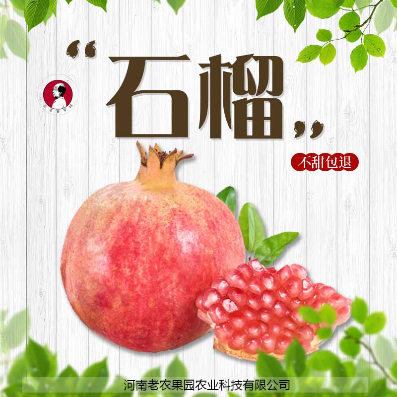 河南水果園 直銷(xiāo)批發(fā) 供應(yīng)石榴 鮮甜多汁原味營(yíng)養(yǎng) 軟籽石榴甘甜清爽