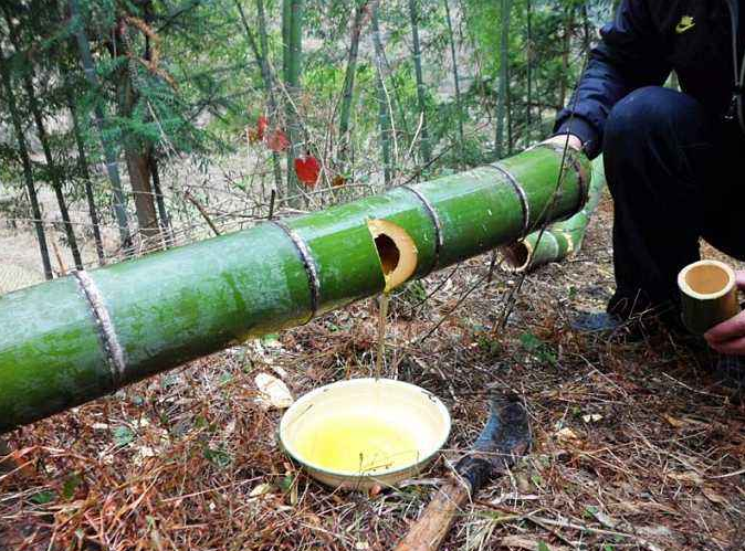 林天露竹酒招商加盟